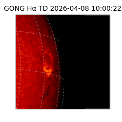 gong - 2026-04-08T10:00:22