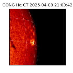 gong - 2026-04-08T21:00:42