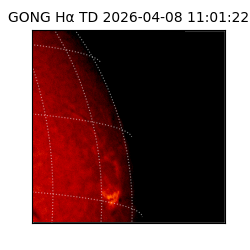 gong - 2026-04-08T11:01:22