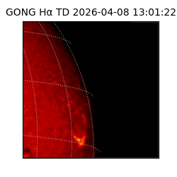 gong - 2026-04-08T13:01:22