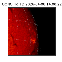 gong - 2026-04-08T14:00:22