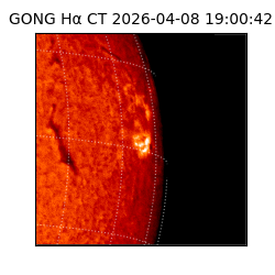 gong - 2026-04-08T19:00:42
