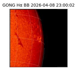gong - 2026-04-08T23:00:02