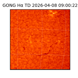 gong - 2026-04-08T09:00:22