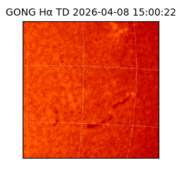 gong - 2026-04-08T15:00:22