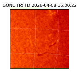 gong - 2026-04-08T16:00:22