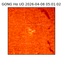 gong - 2026-04-08T05:01:02