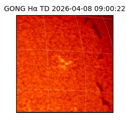 gong - 2026-04-08T09:00:22