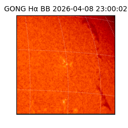 gong - 2026-04-08T23:00:02