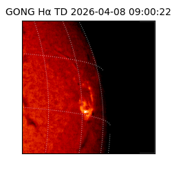 gong - 2026-04-08T09:00:22