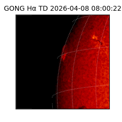 gong - 2026-04-08T08:00:22