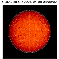 gong - 2026-04-08T03:00:02