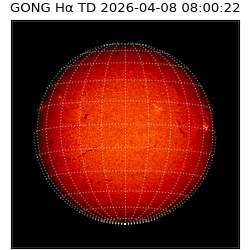 gong - 2026-04-08T08:00:22