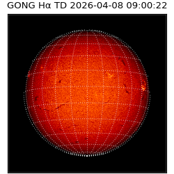 gong - 2026-04-08T09:00:22