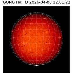 gong - 2026-04-08T12:01:22