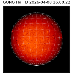 gong - 2026-04-08T16:00:22