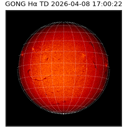 gong - 2026-04-08T17:00:22