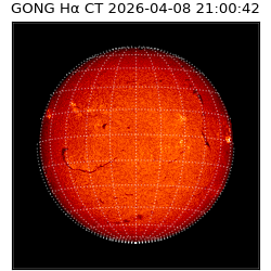 gong - 2026-04-08T21:00:42