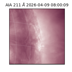 saia - 2026-04-09T08:00:09.624000