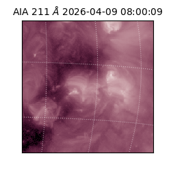 saia - 2026-04-09T08:00:09.624000