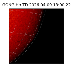 gong - 2026-04-09T13:00:22