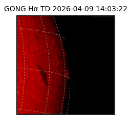 gong - 2026-04-09T14:03:22