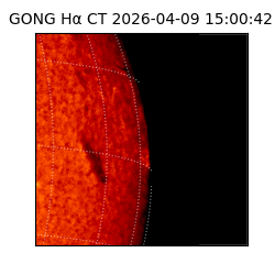 gong - 2026-04-09T15:00:42