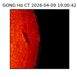 gong - 2026-04-09T19:00:42