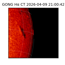 gong - 2026-04-09T21:00:42