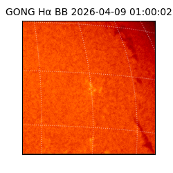 gong - 2026-04-09T01:00:02