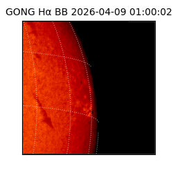 gong - 2026-04-09T01:00:02