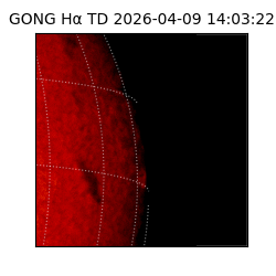 gong - 2026-04-09T14:03:22