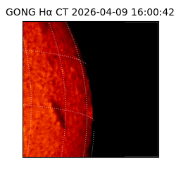 gong - 2026-04-09T16:00:42