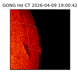 gong - 2026-04-09T19:00:42