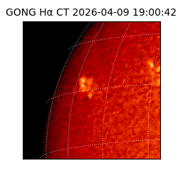 gong - 2026-04-09T19:00:42