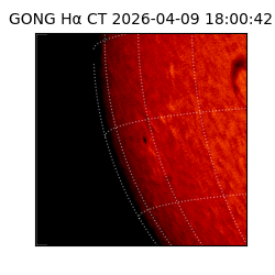 gong - 2026-04-09T18:00:42