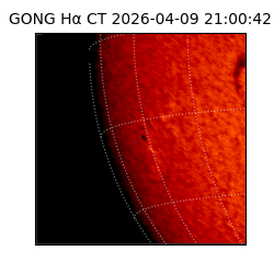 gong - 2026-04-09T21:00:42