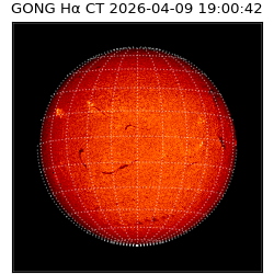 gong - 2026-04-09T19:00:42