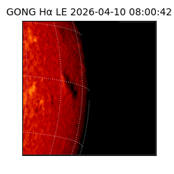 gong - 2026-04-10T08:00:42