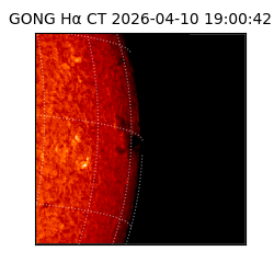 gong - 2026-04-10T19:00:42