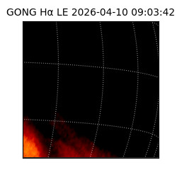 gong - 2026-04-10T09:03:42