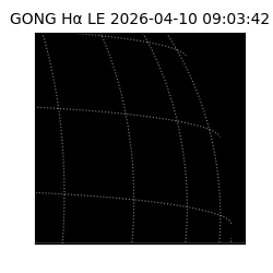 gong - 2026-04-10T09:03:42