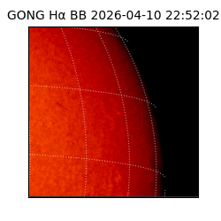 gong - 2026-04-10T22:52:02