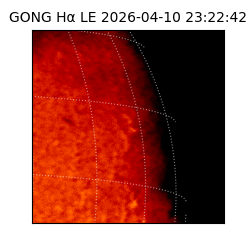 gong - 2026-04-10T23:22:42