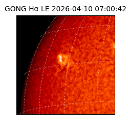 gong - 2026-04-10T07:00:42
