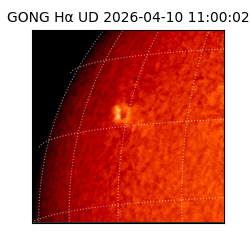 gong - 2026-04-10T11:00:02