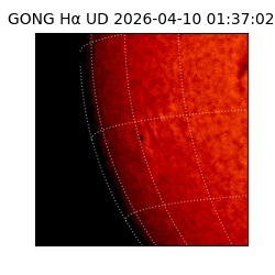 gong - 2026-04-10T01:37:02