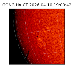 gong - 2026-04-10T19:00:42