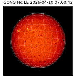 gong - 2026-04-10T07:00:42