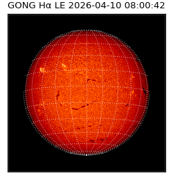 gong - 2026-04-10T08:00:42
